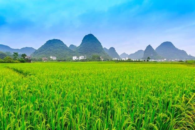 Where does it come from?